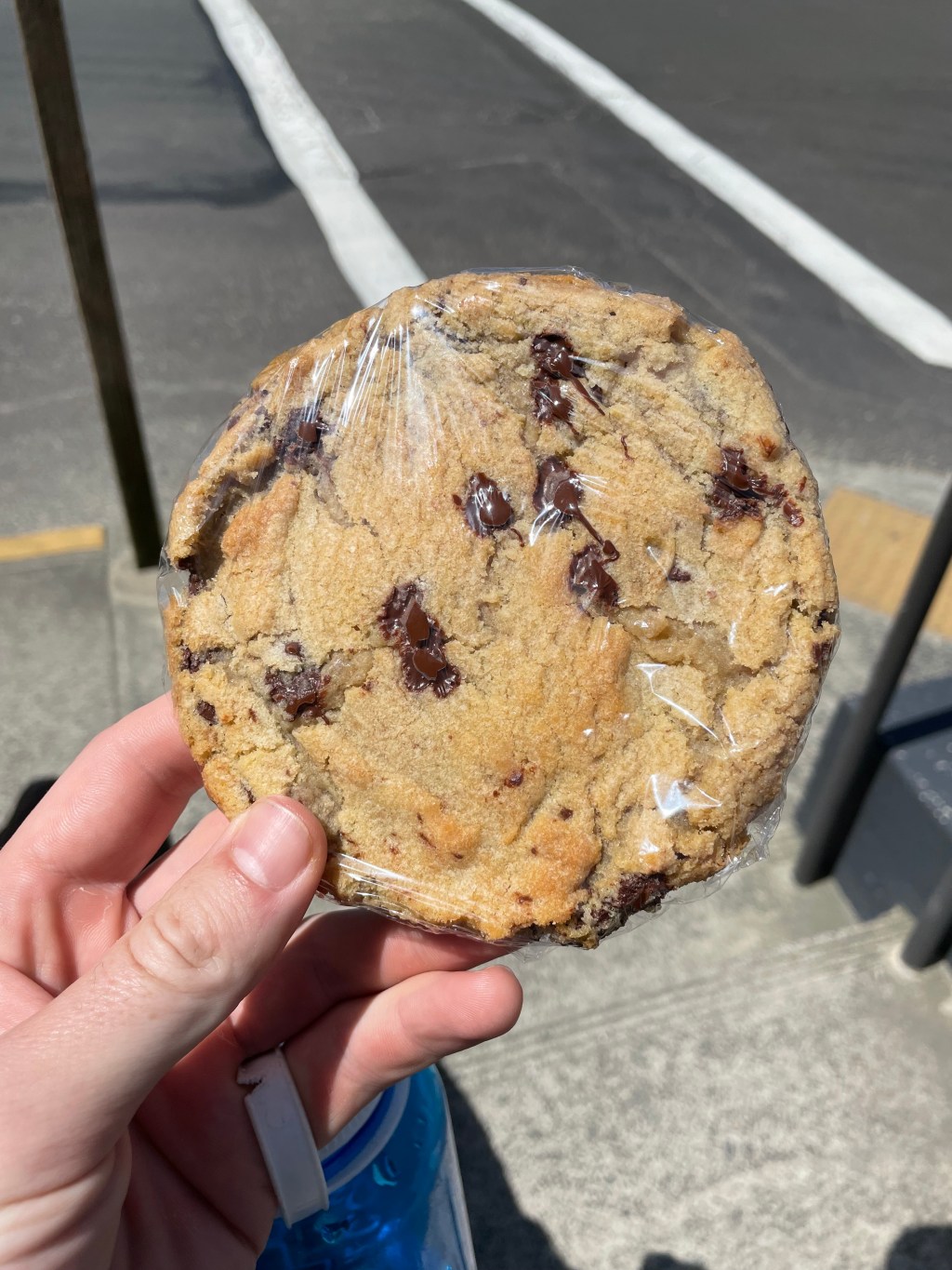 Cookie post from the Oregon&nbsp;Coast