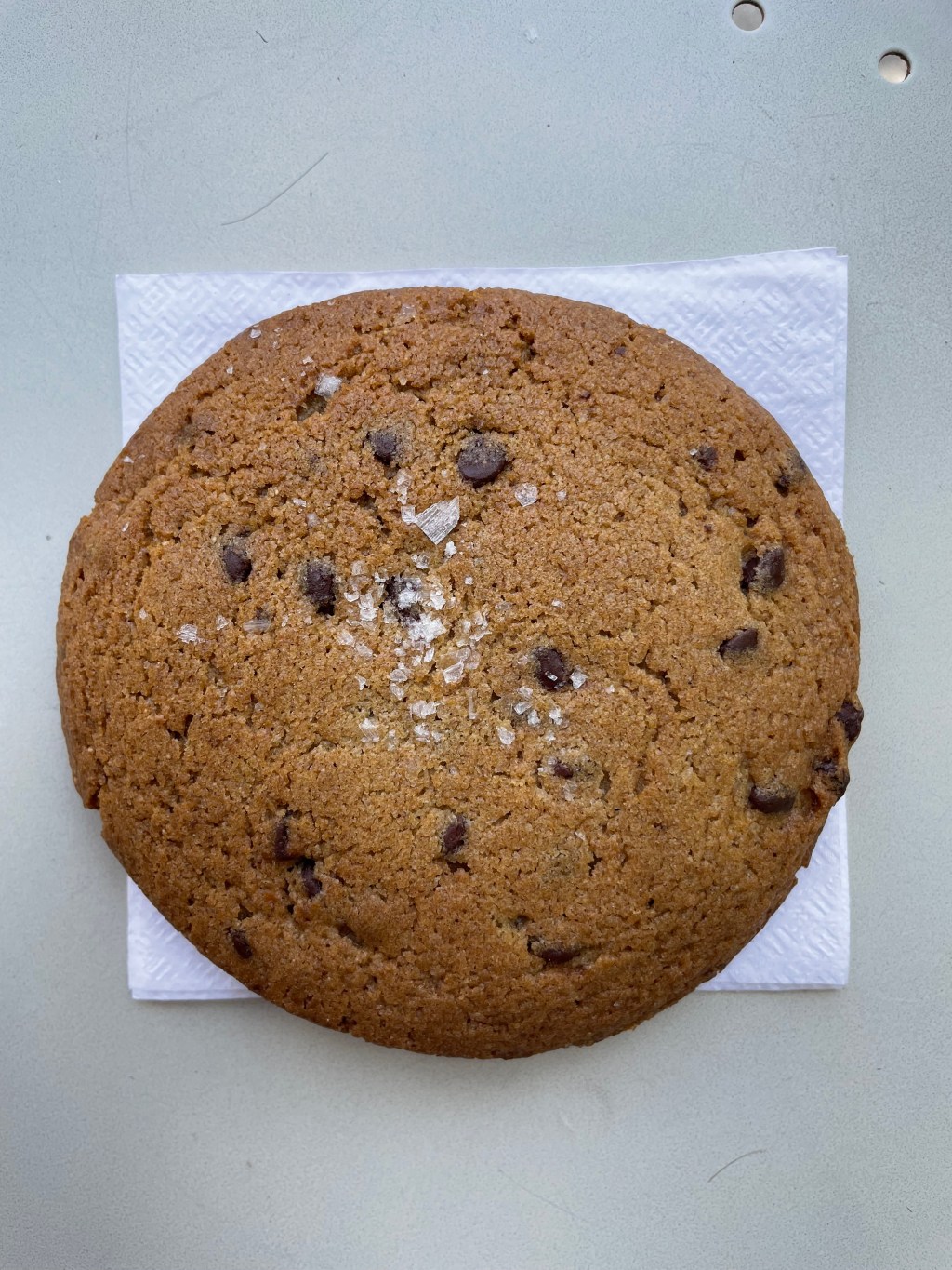 Chocolate Chip Rye